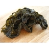 Atlantische Wakame aus Wildernte