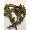 Bladderwrack flakes - wild harvested