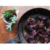 Dulse da raccolta selvatica