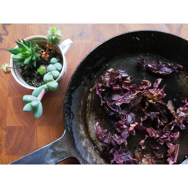 Dulse från vild skörd