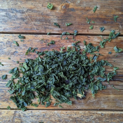 Sałata morska - dziko zbierana w Irlandii
