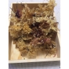 Carrageen (irländsk mossa) - vildavverkad på Irland