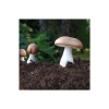 Gélules de champignon d'amande (ABM - Agaricus blazei Murril)
