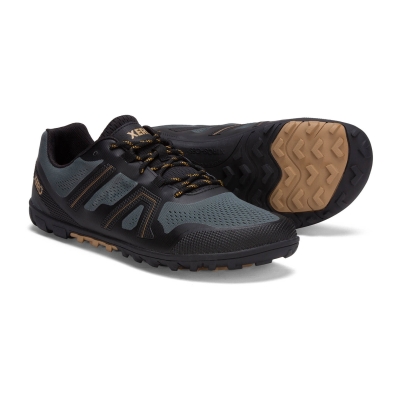Mesa Trail II - Men's