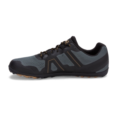 Mesa Trail II - Men's
