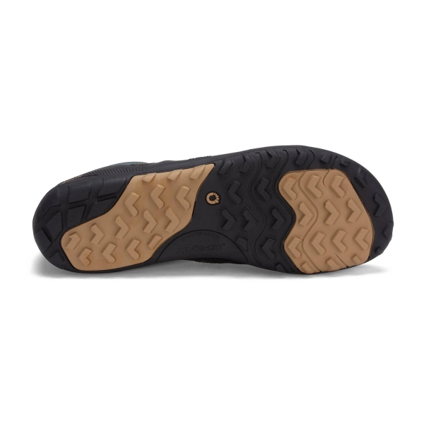 Algen-Flocken-Starter-Pack