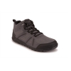 DayLite Hiker Fusion - Men's